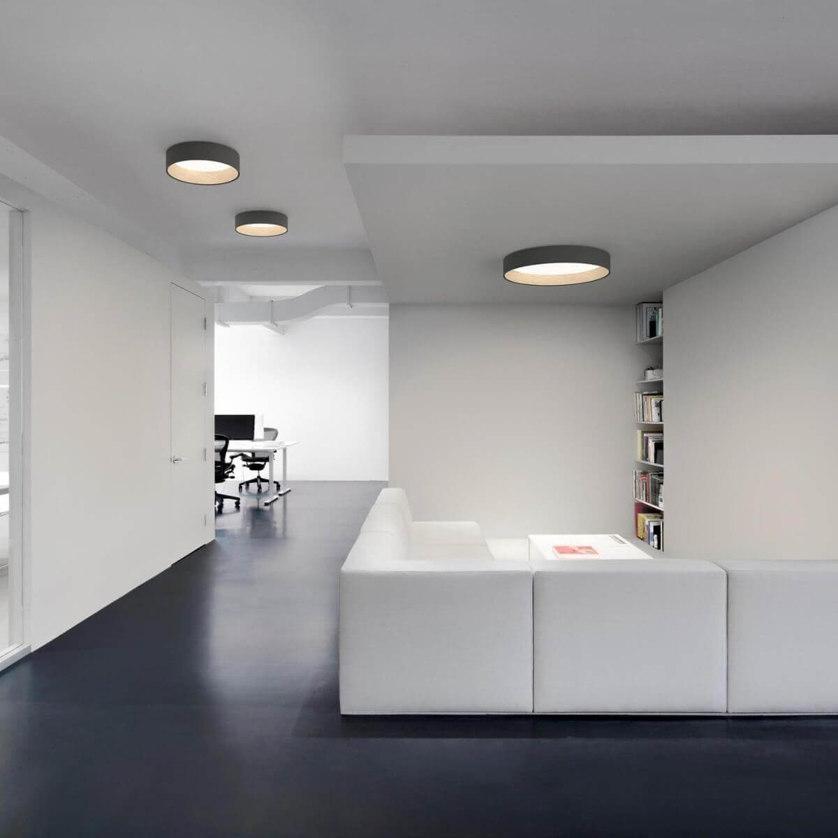 Duo Regular Ceiling Lamp