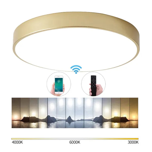 Modern Round Gold LED Ceiling Light - Ultra-Thin 5cm Surface Mount with Remote Control