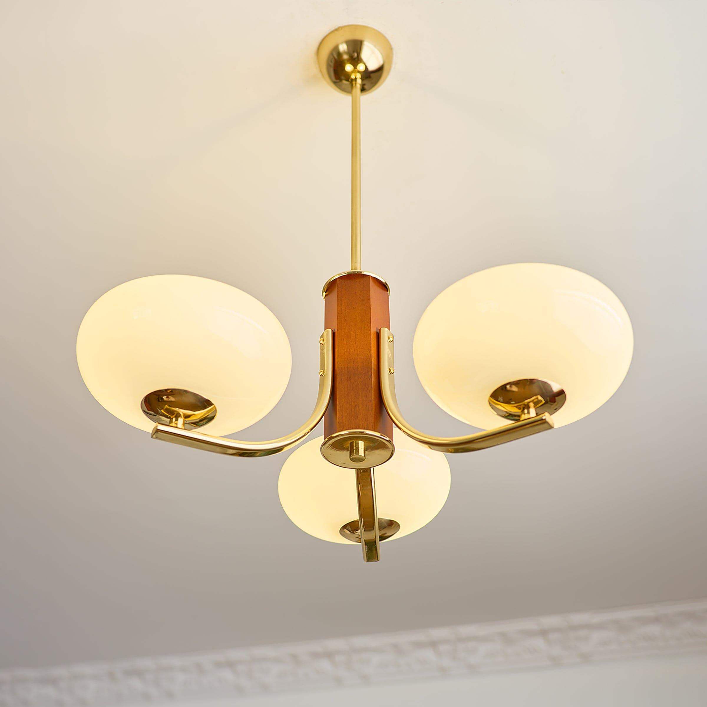 Larenta Rico Chandelier