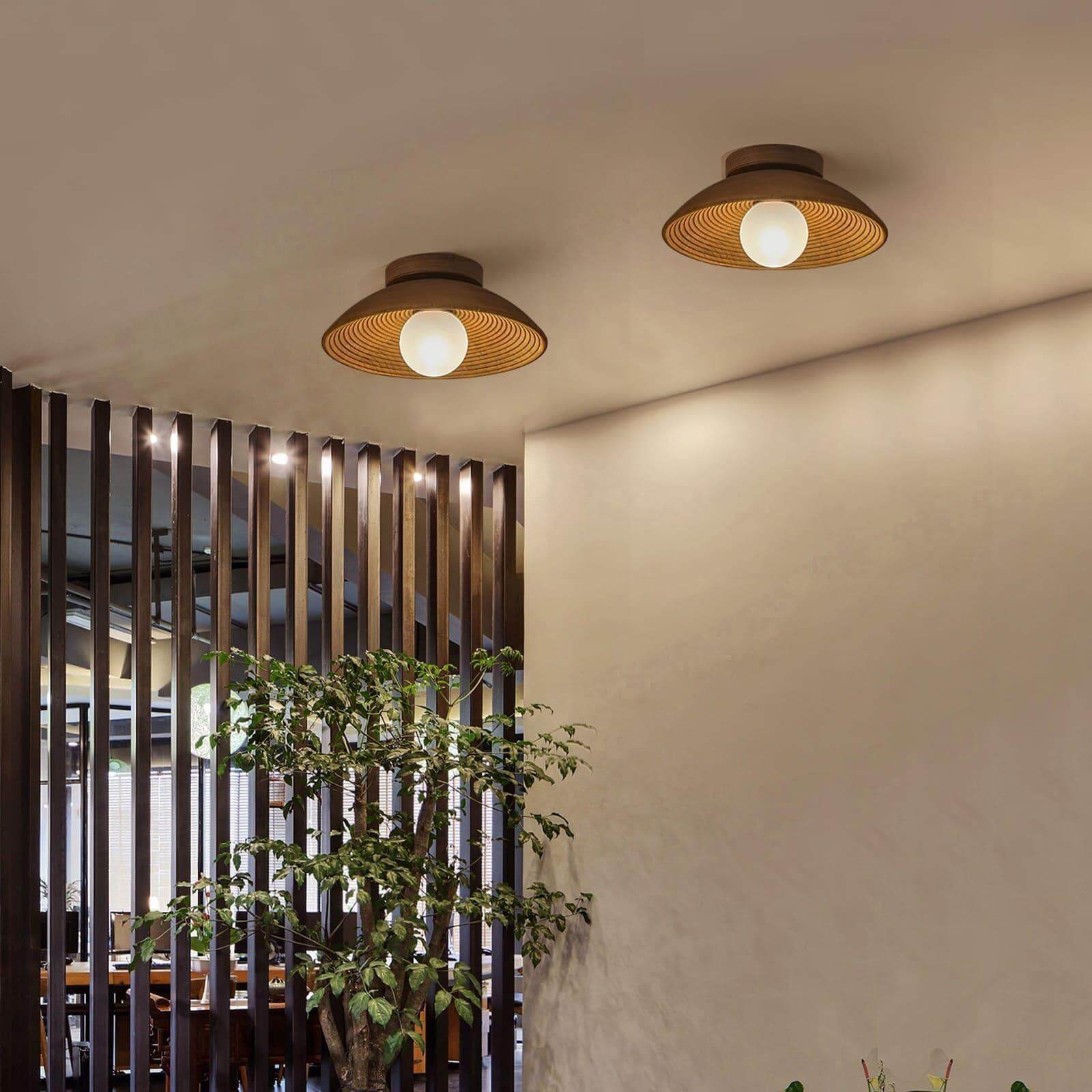 Nubei Ceiling Light