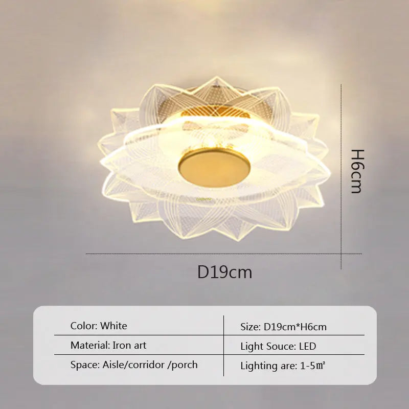 LED Ceiling Light Acrylic led ceiling Lamp Living Room Bedroom Creative Lamp Minimalist Balcony Cloakroom Lighting Fixture