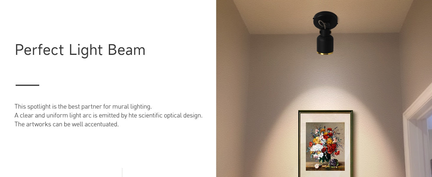 Emily's Nordic LED Ceiling Spotlight - Adjustable 60° Surface Mounted Light