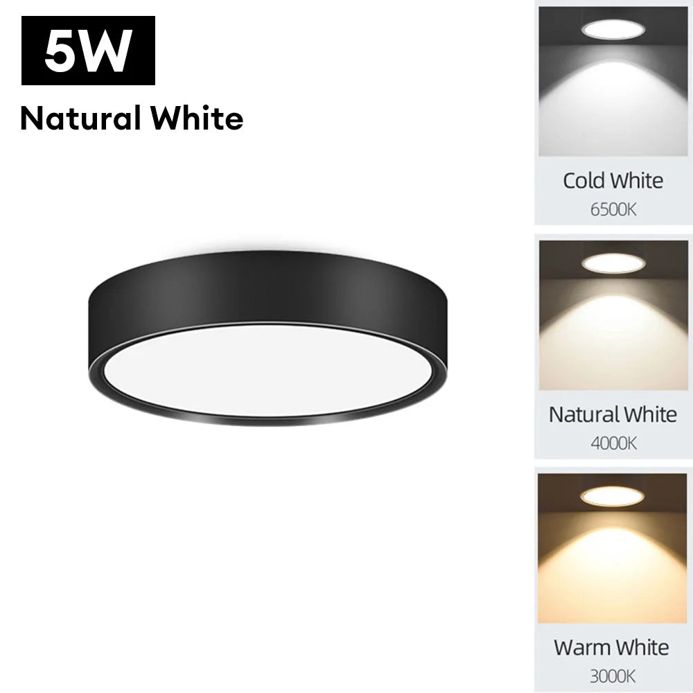 90-250V LED Ceiling Light - Choose from 5W or 10W - Surface Mounted Downlight for Stylish Indoor Illumination