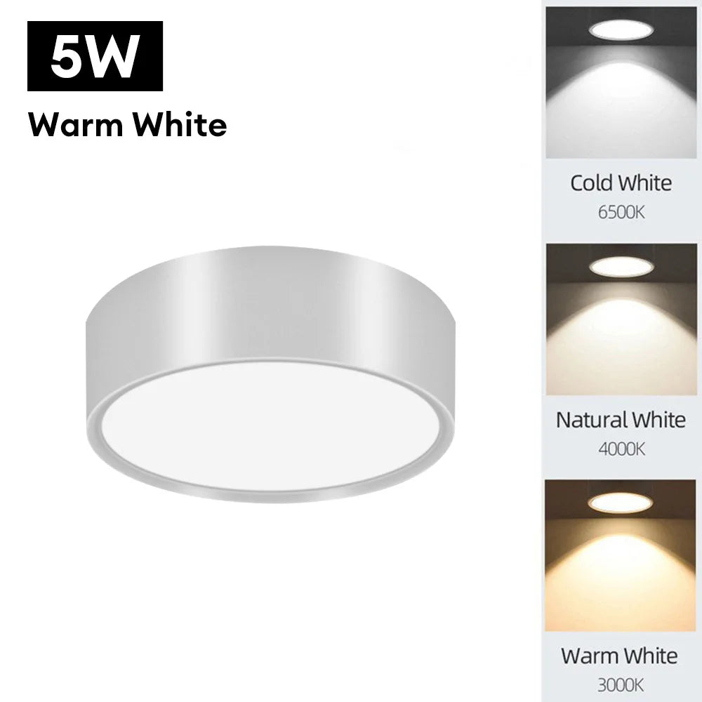 90-250V LED Ceiling Light - Choose from 5W or 10W - Surface Mounted Downlight for Stylish Indoor Illumination