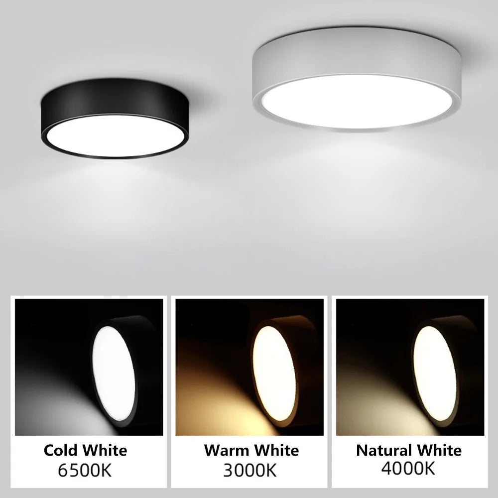 90-250V LED Ceiling Light - Choose from 5W or 10W - Surface Mounted Downlight for Stylish Indoor Illumination