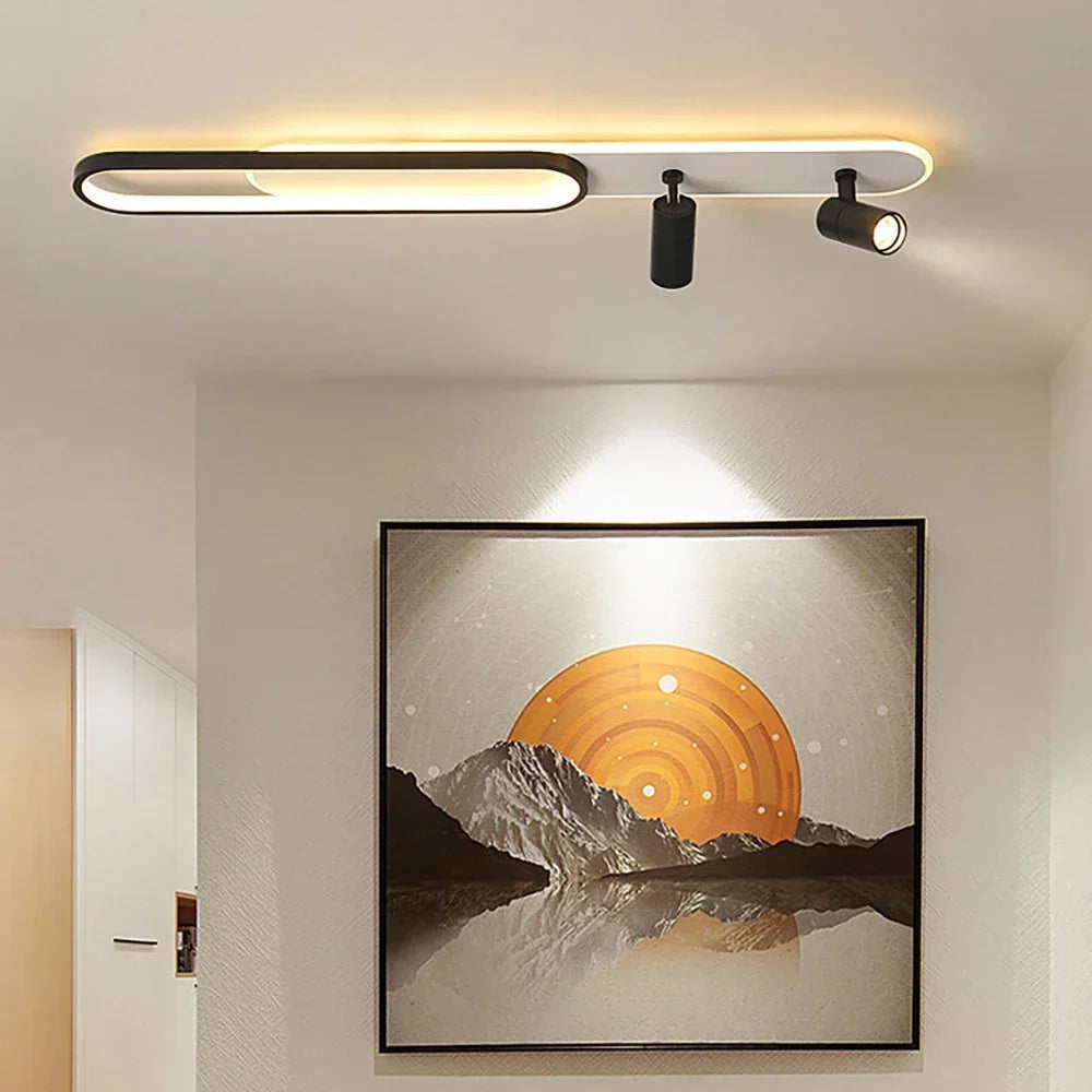 Contemporary LED Ceiling Lamps with Spotlight - Stylish Lighting for Living Spaces and Cloakrooms