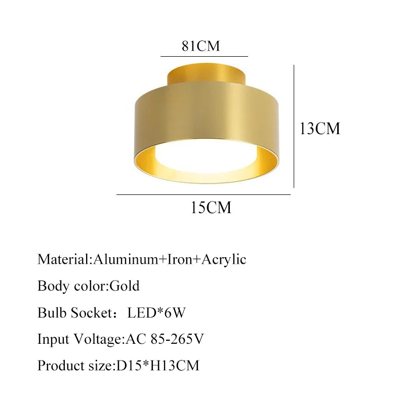 Modern Round Flush Mounted LED Ceiling Lamp - Minimalist Lighting for Bedroom, Bathroom, and Kitchen