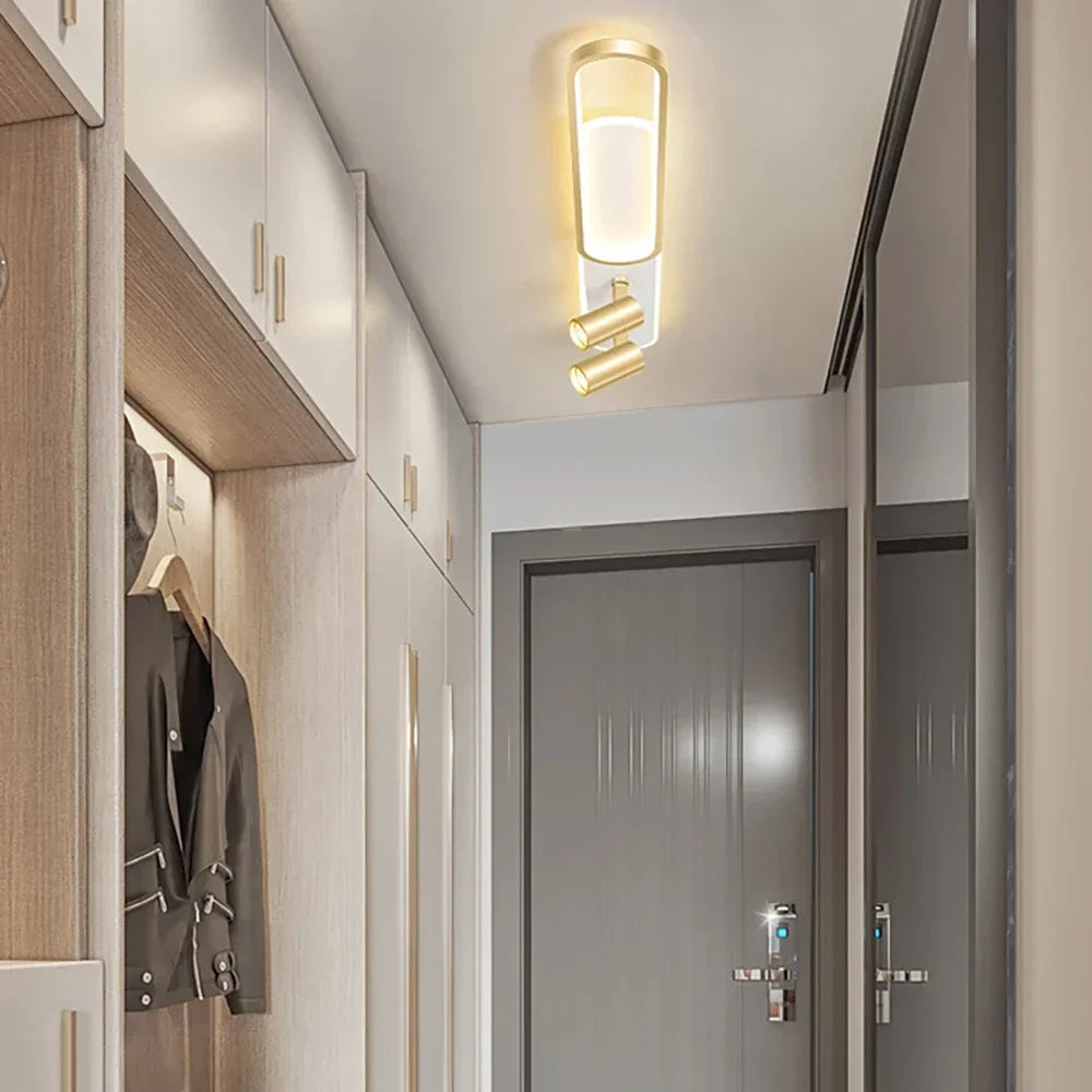 Contemporary LED Ceiling Lamps with Spotlight - Stylish Lighting for Living Spaces and Cloakrooms