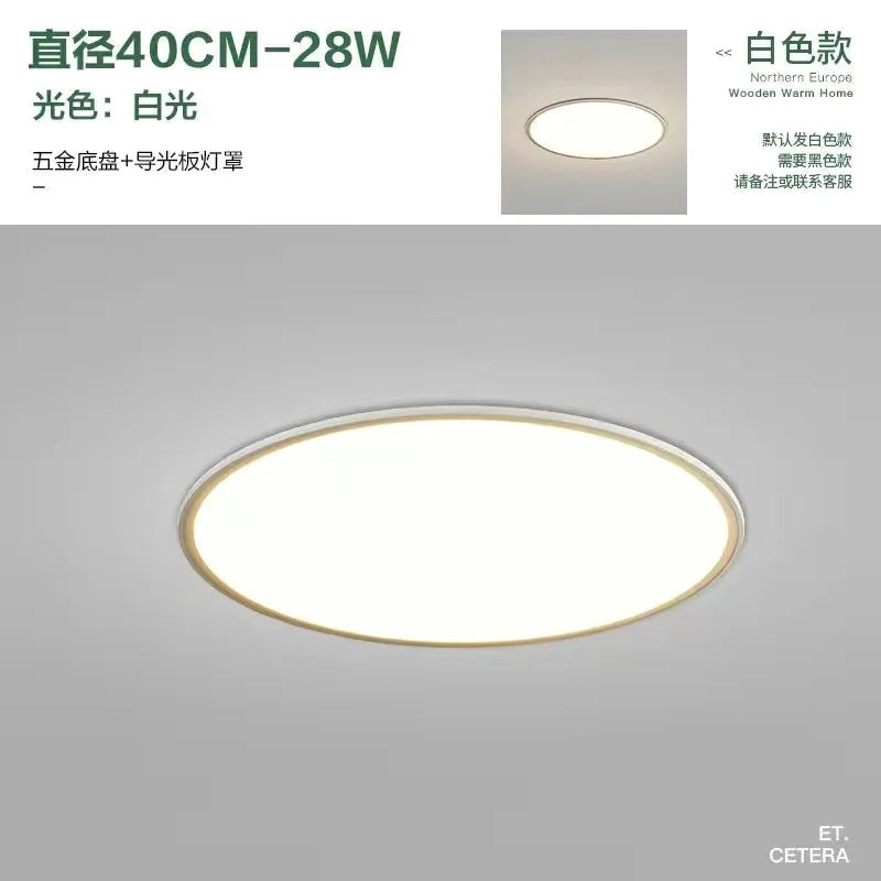 Living Room Ceiling Light - Modern Minimalist Lighting Fixture, Ultra-Thin Nordic Bedroom Light, Indoor Lighting LED Fixture