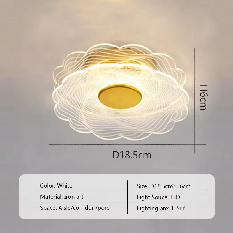 LED Ceiling Light Acrylic led ceiling Lamp Living Room Bedroom Creative Lamp Minimalist Balcony Cloakroom Lighting Fixture