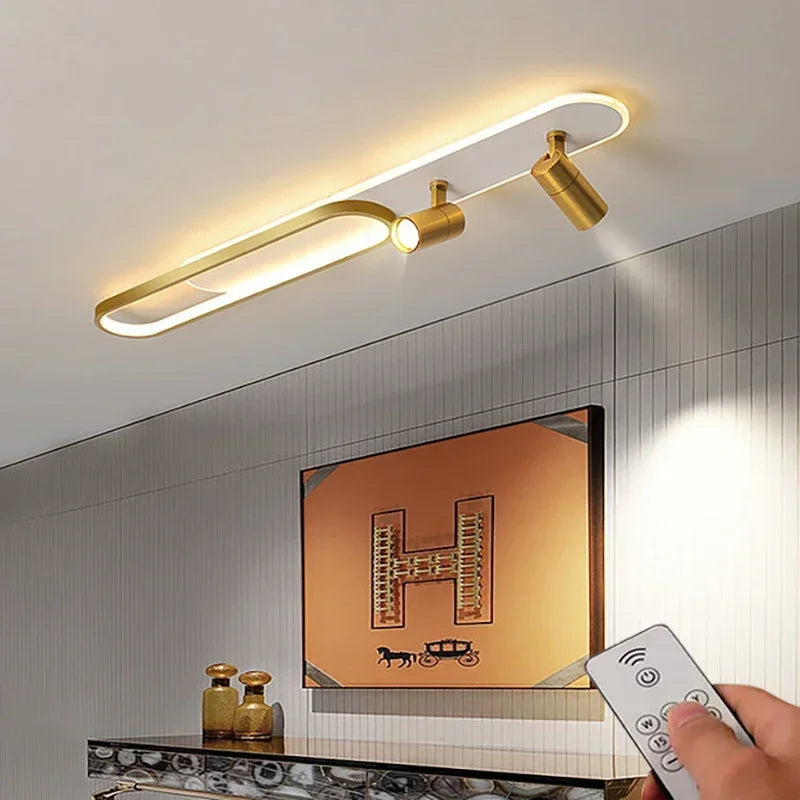 Contemporary LED Ceiling Lamps with Spotlight - Stylish Lighting for Living Spaces and Cloakrooms