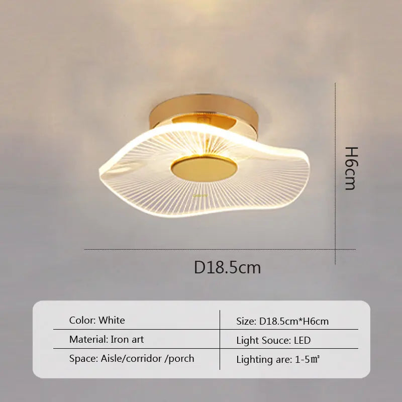 LED Ceiling Light Acrylic led ceiling Lamp Living Room Bedroom Creative Lamp Minimalist Balcony Cloakroom Lighting Fixture