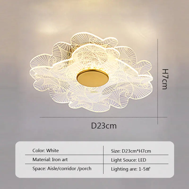 LED Ceiling Light Acrylic led ceiling Lamp Living Room Bedroom Creative Lamp Minimalist Balcony Cloakroom Lighting Fixture