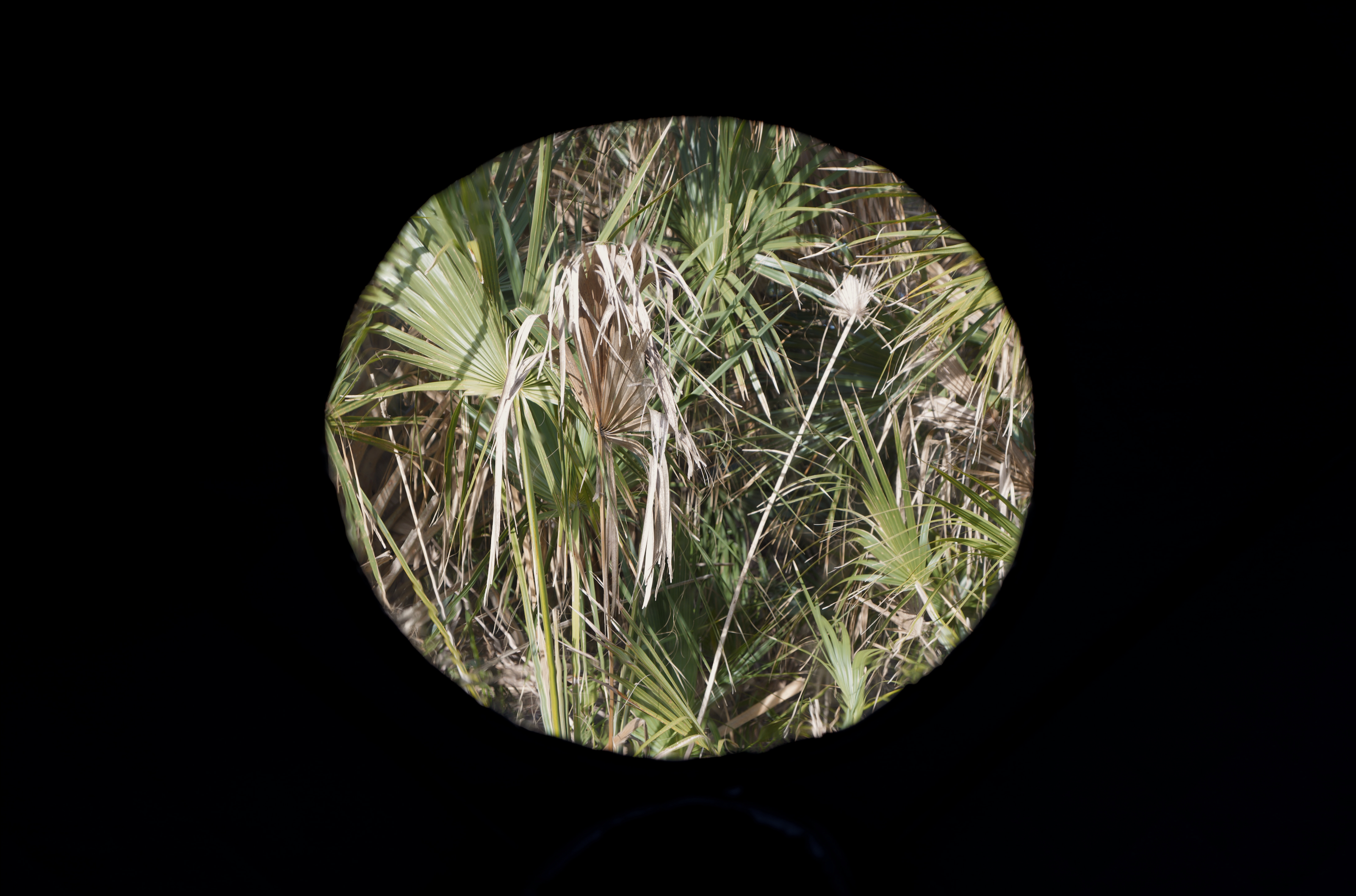 Dome Sauna Tent (8-person; tent only)