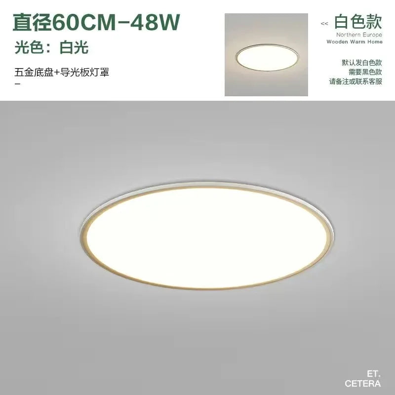 Living Room Ceiling Light - Modern Minimalist Lighting Fixture, Ultra-Thin Nordic Bedroom Light, Indoor Lighting LED Fixture