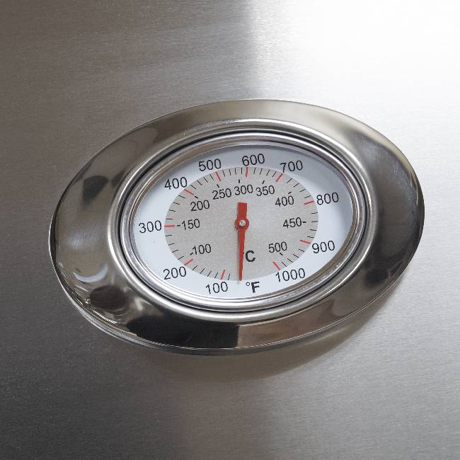 American Outdoor Grill 24NBL L-Series 2-Burner Built-In Natural Gas Grill W/ Rotisserie Kit, 24" [24NBL] (SAK81425)