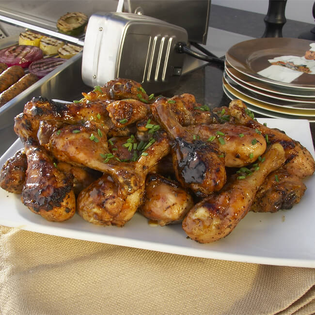 American Outdoor Grill 24NBT T-Series 2-Burner Built-In Natural Gas Grill W/ Rotisserie Kit, 24" [24NBT] (SAK65205)