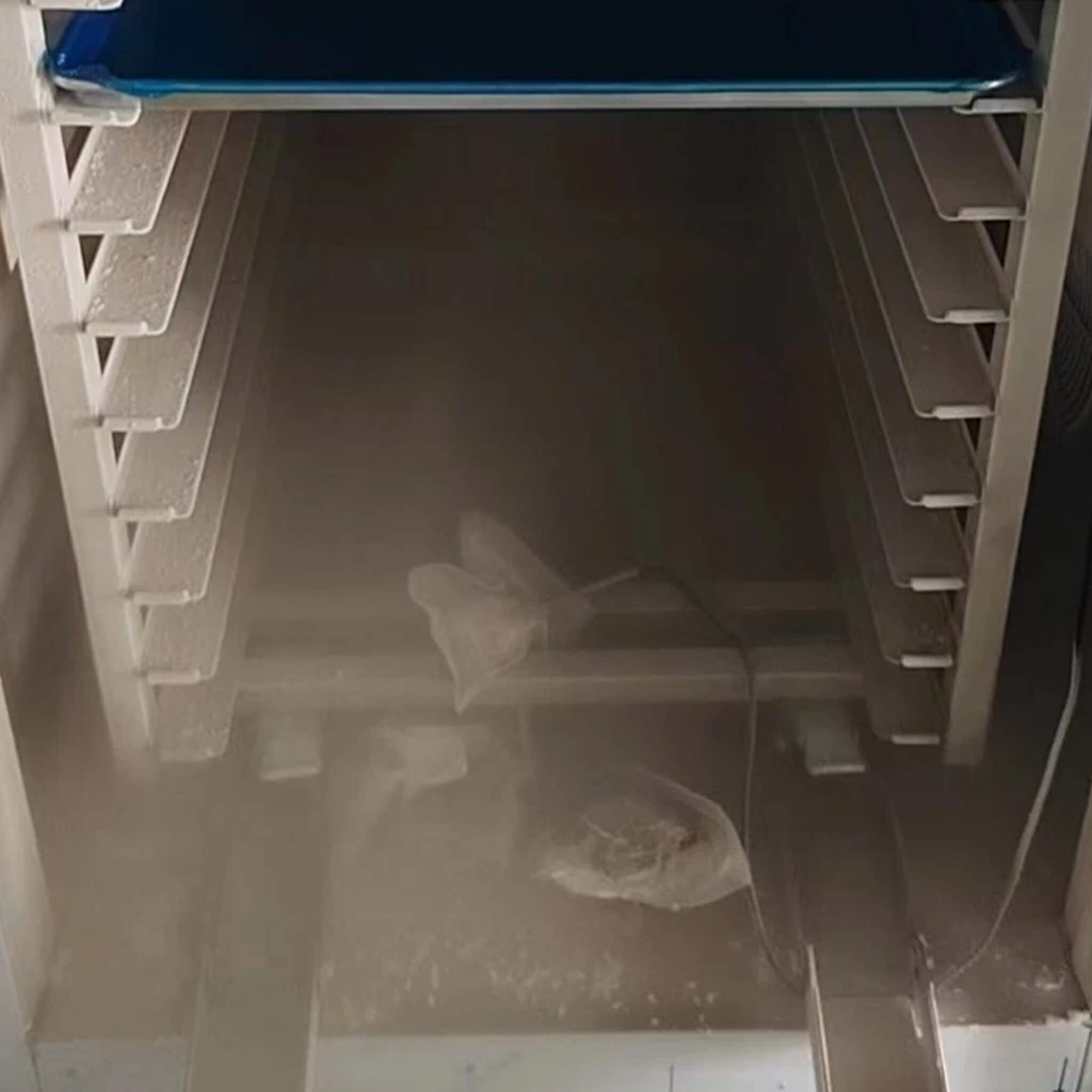 Commercial Heavy-Duty 15-Tray Blast Chiller Freezer Cabinet With Trolley Cart (SAK57249)