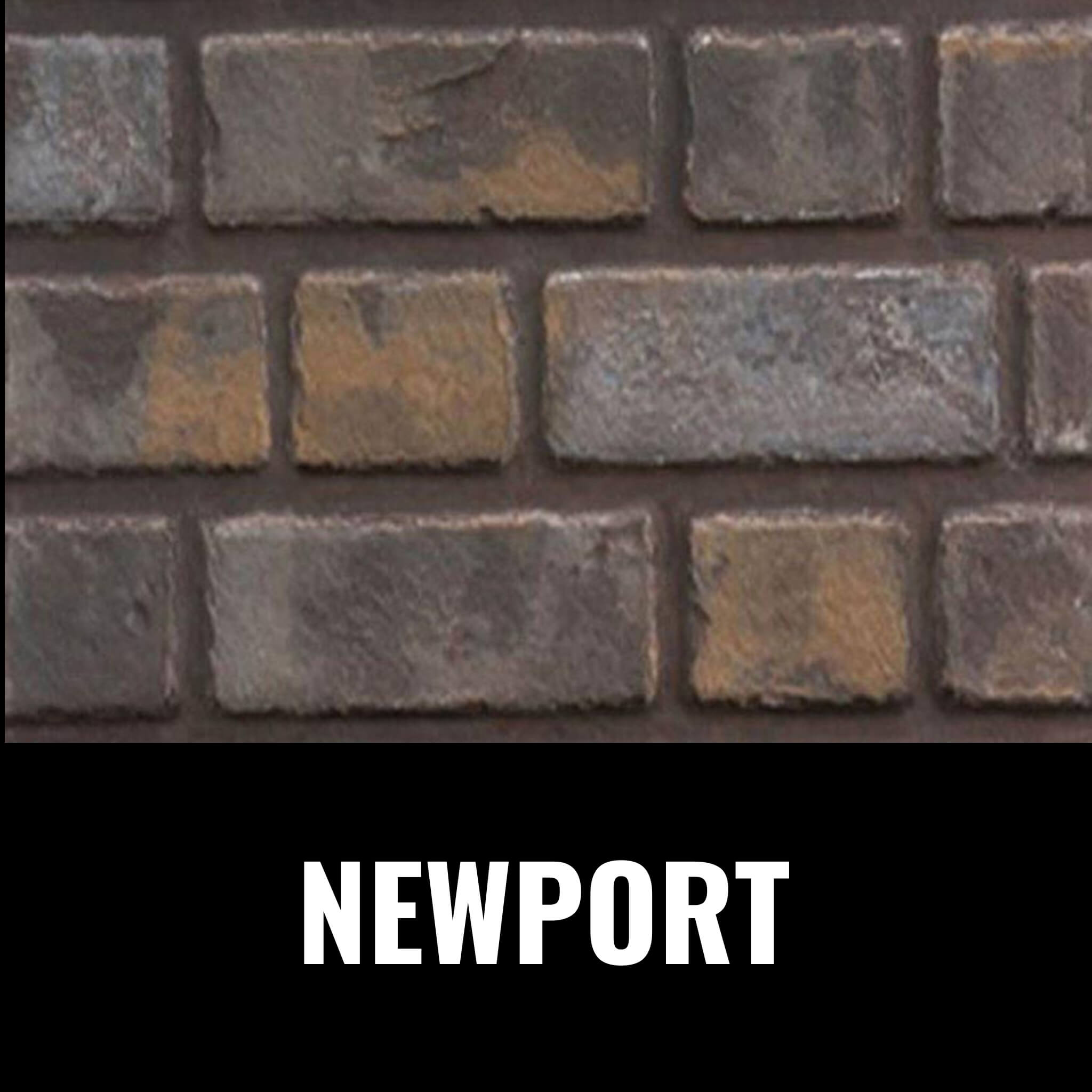 Napoleon Oakville 3 Direct Vent Electronic Ignition Natural Gas Fireplace Insert [GDI3NEA] (SAK82316)