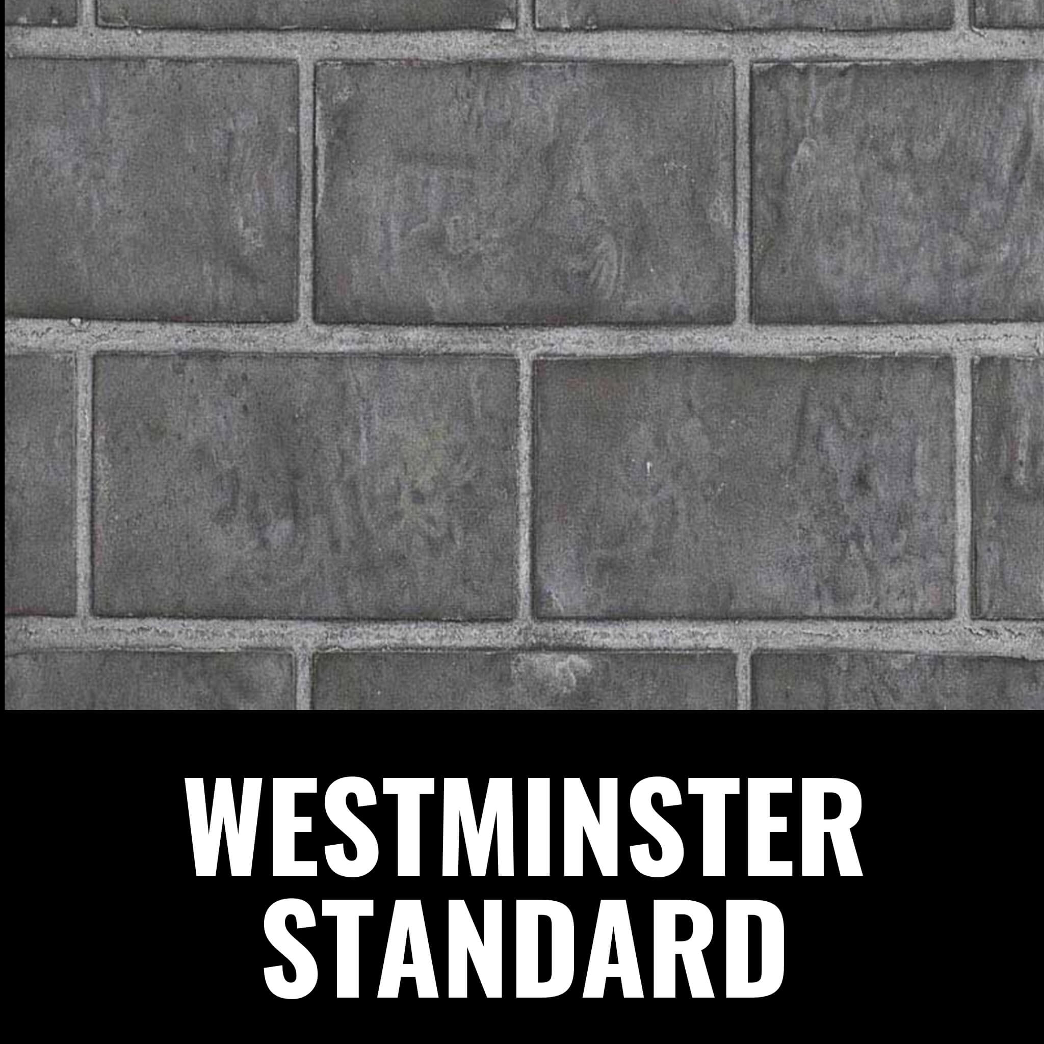 Napoleon Oakville X3/X4 Direct Vent Electronic Ignition Natural Gas Fireplace Insert [GDIX3N/4N-1] (SAK21347)