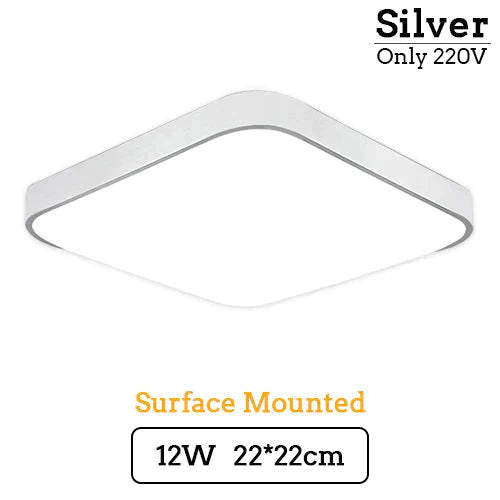 Catalina Elegance Meets Functionality: LED Ceiling Light for Home & Commercial Use