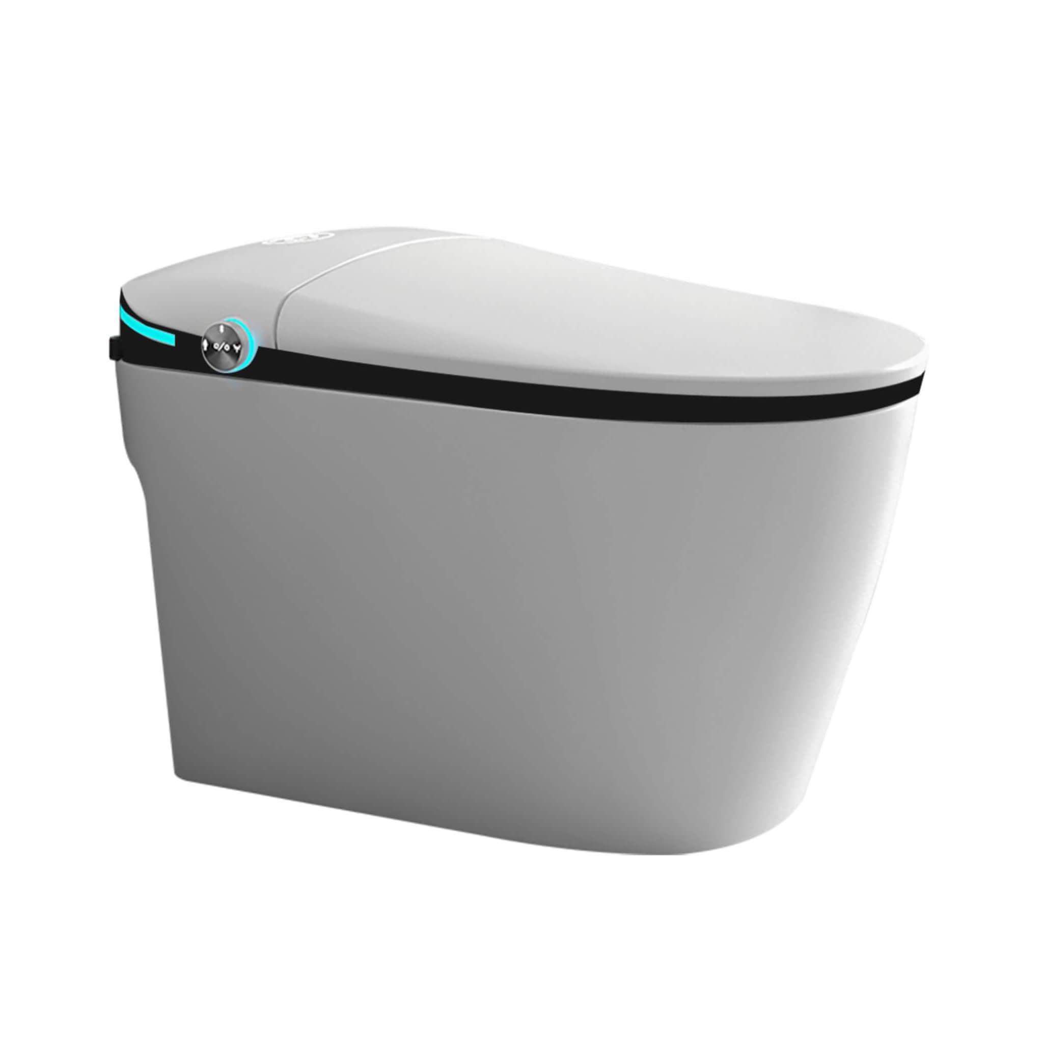 Luxury Smart Toilet With Built-In Auto Open And Close Bidet Seat, Foot Sensor, LED Display And Night Light (SAK31256)
