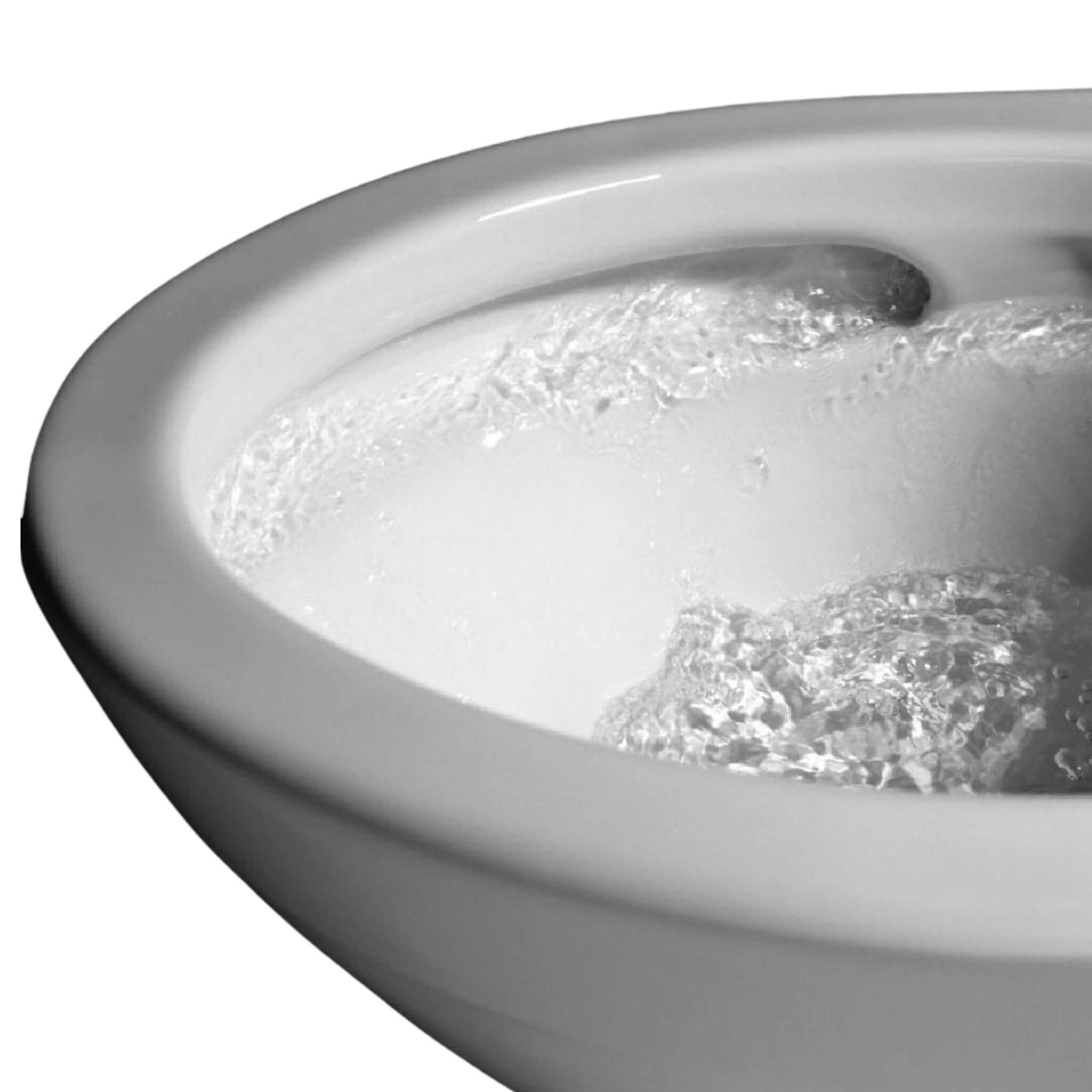 [MW6043074CEFG#01] TOTO Ultramax II 1.28 GPF One Piece Elongated Toilet With Washlet C2 And Left Hand Lever (SAK92562)