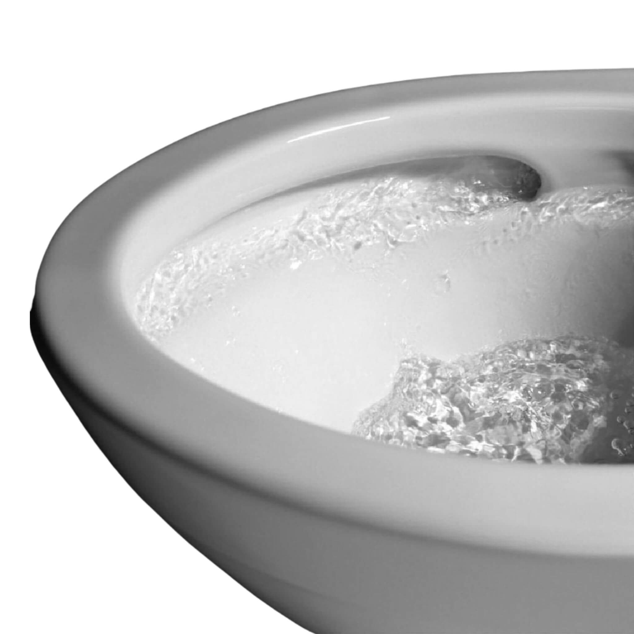 [MW6043084CEFG#01] TOTO Ultramax II 1.28 GPF One Piece Elongated Toilet With Washlet C5 Bidet Seat (SAK15253)