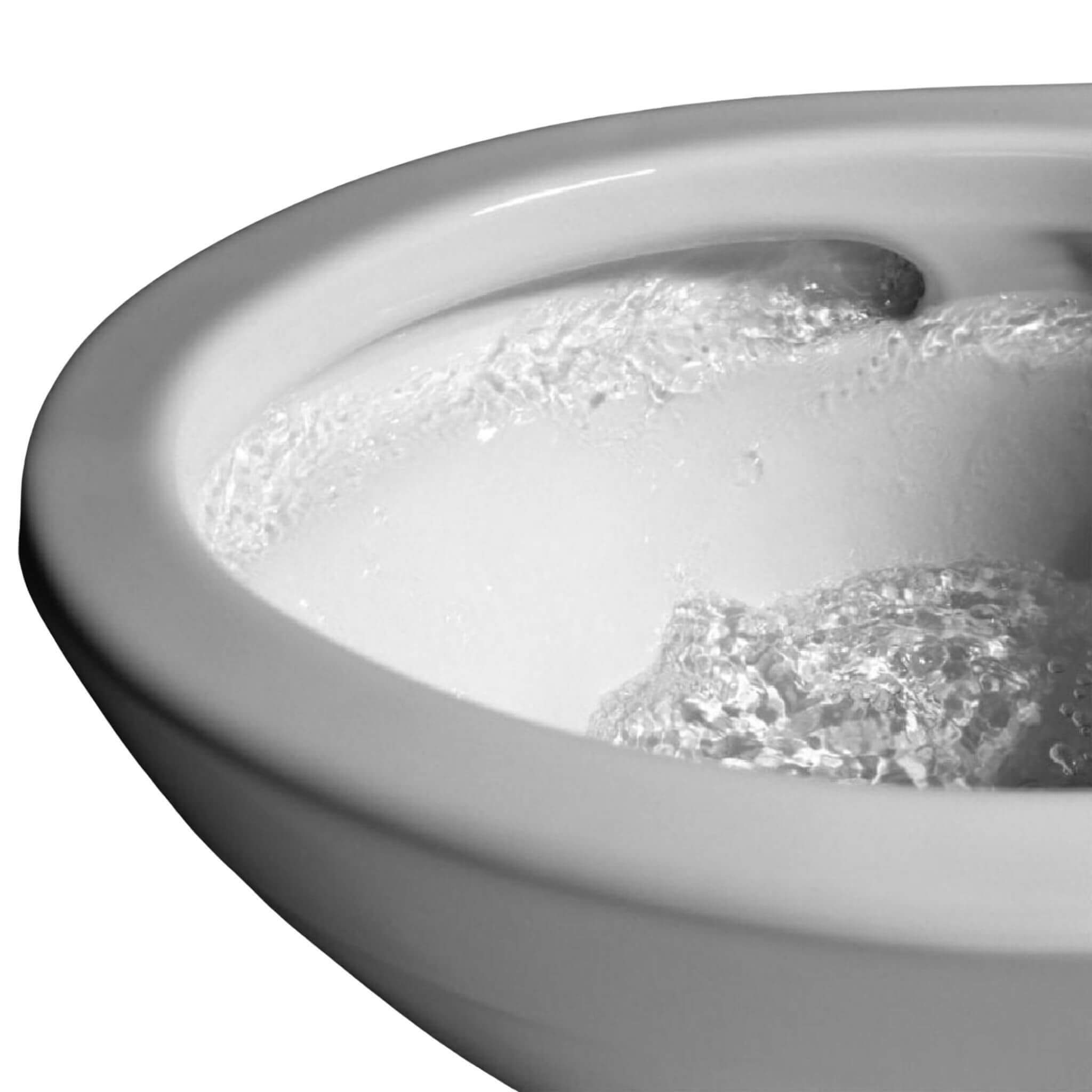 [MW6143084CEFG#01] TOTO Carlyle II 1.28 GPF One Piece Elongated Toilet With Washlet C5 Bidet Seat (SAK03124)