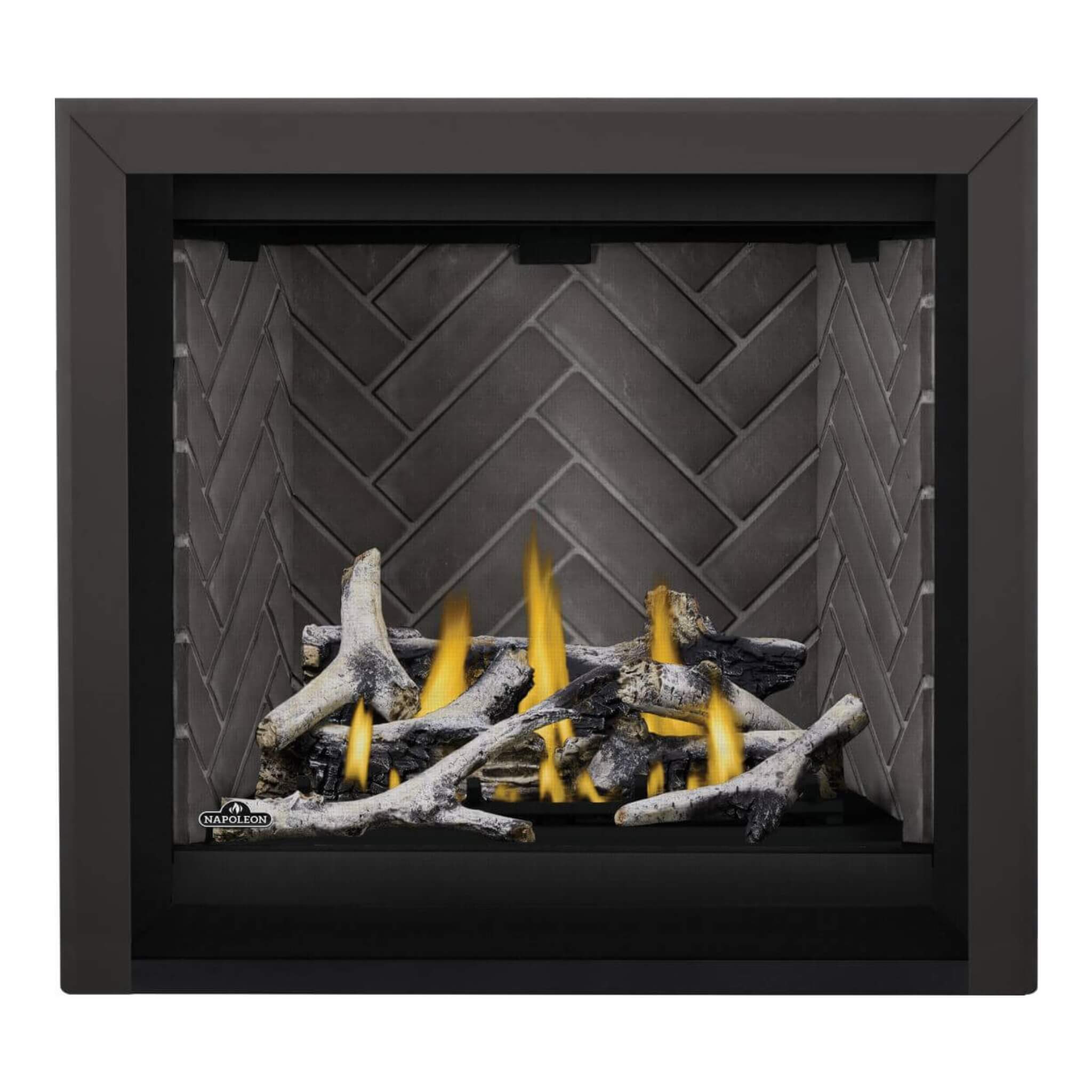Napoleon Altitude X Direct Vent 36" Natural Gas Fireplace [AX36NTE-1] (SAK61243)