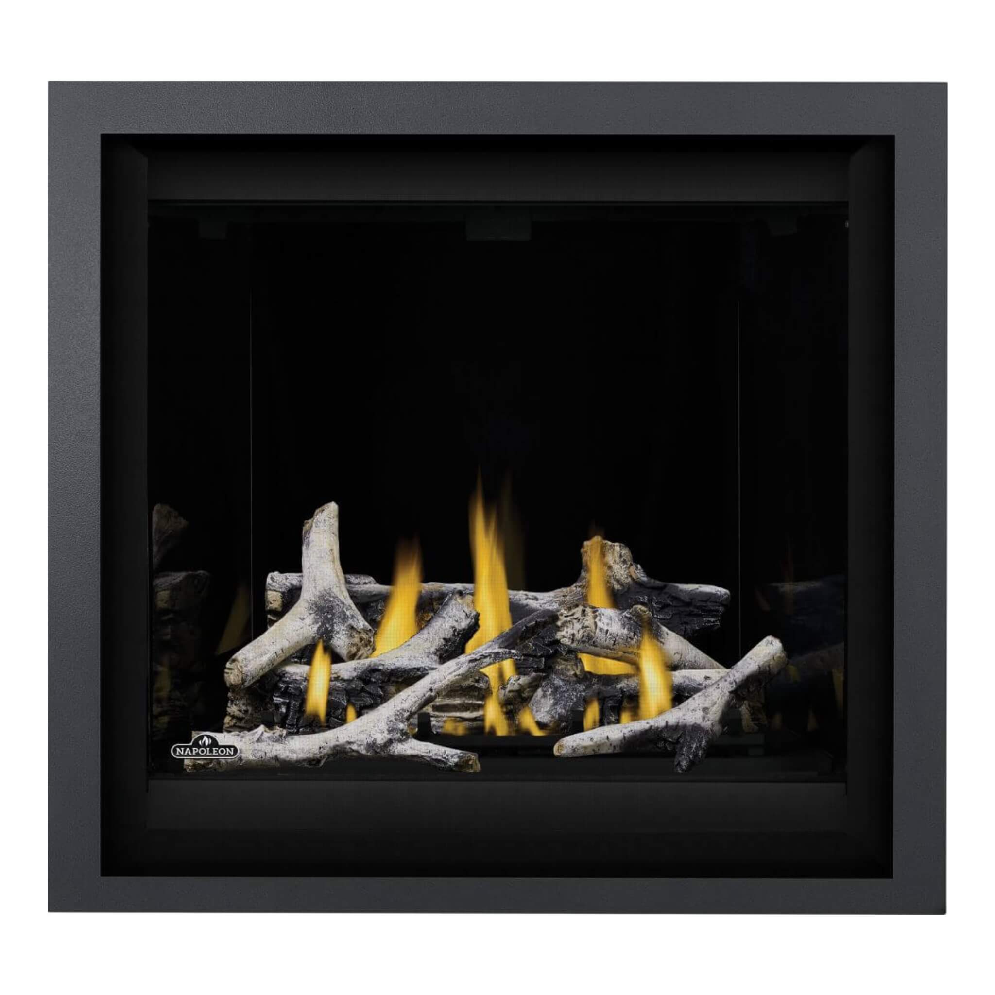 Napoleon Altitude X Direct Vent 36" Natural Gas Fireplace [AX36NTE-1] (SAK61243)
