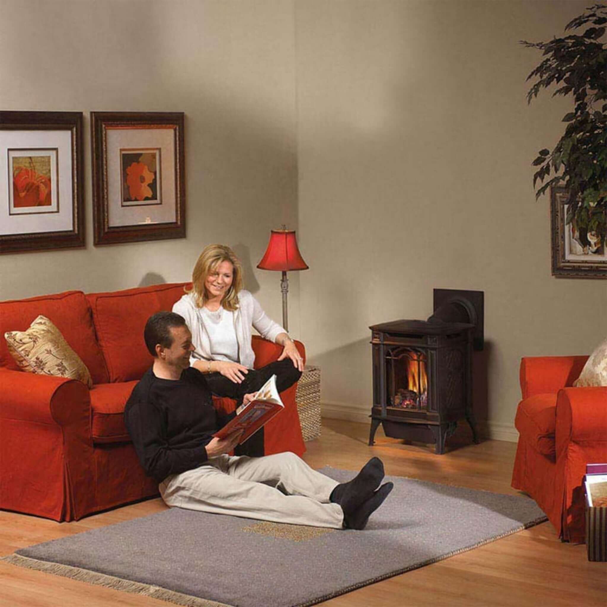 Napoleon Arlington 20 Cast Iron Millivolt Ignition Majolica Brown Natural Gas Stove, 19" [GDS20NNSB] (SAK43798)