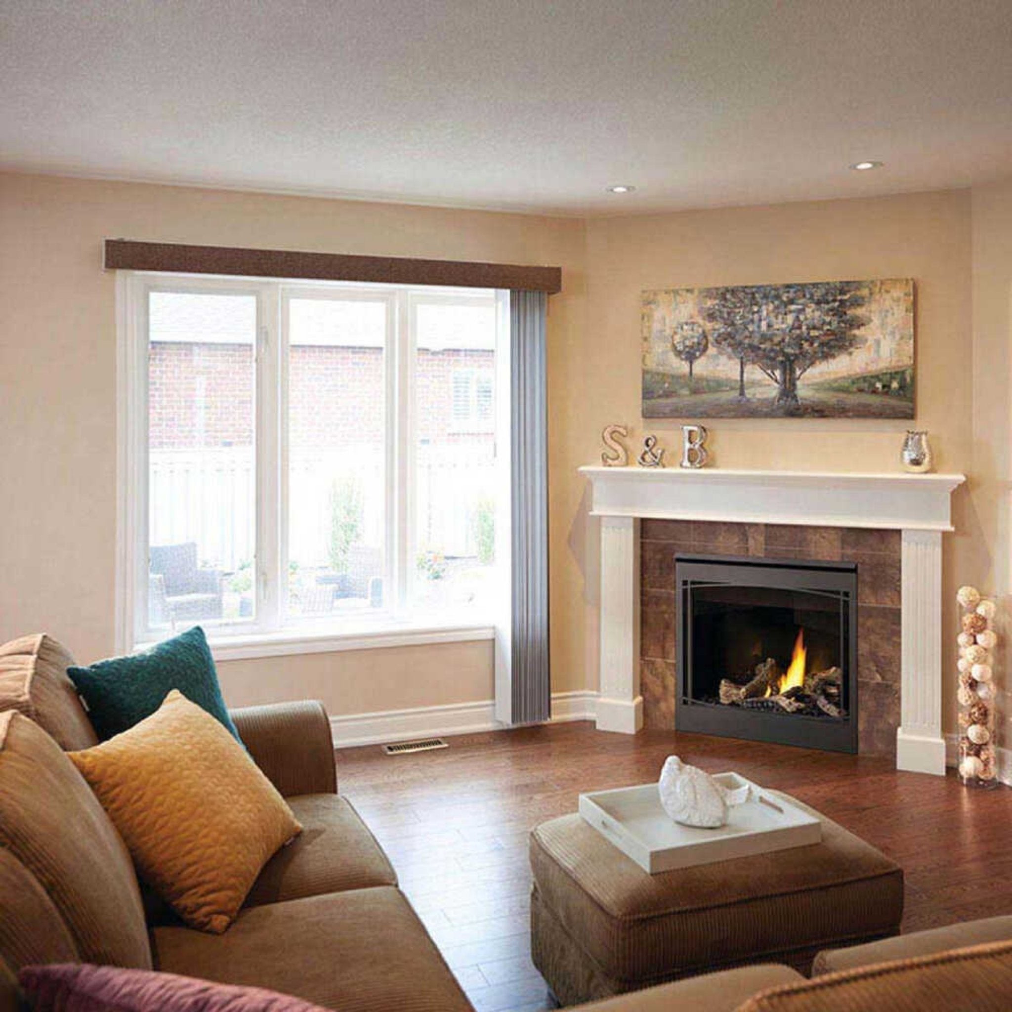 Napoleon Ascent 36 Direct Vent Millivolt Ignition Natural Gas Fireplace, 35" [B36NTR-1] (SAK85316)