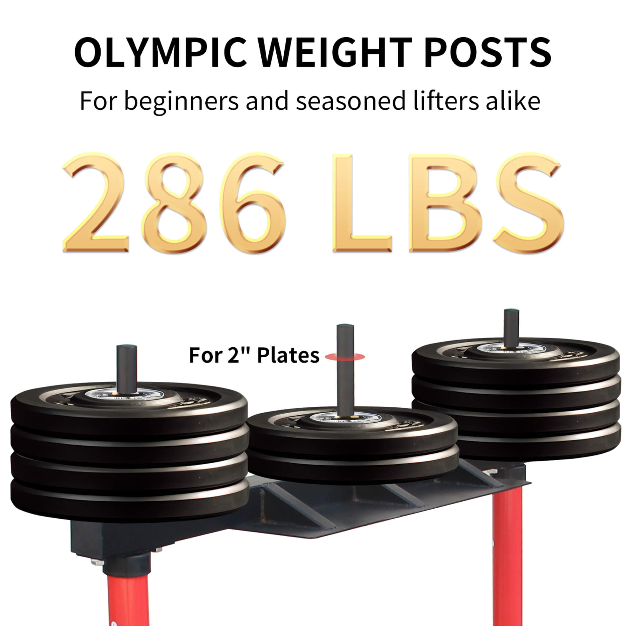 Rovix Premium Vertical Leg Press Machine With Adjustable Back And Head Rests For Home Gyms, 660LBS (SAK34819)