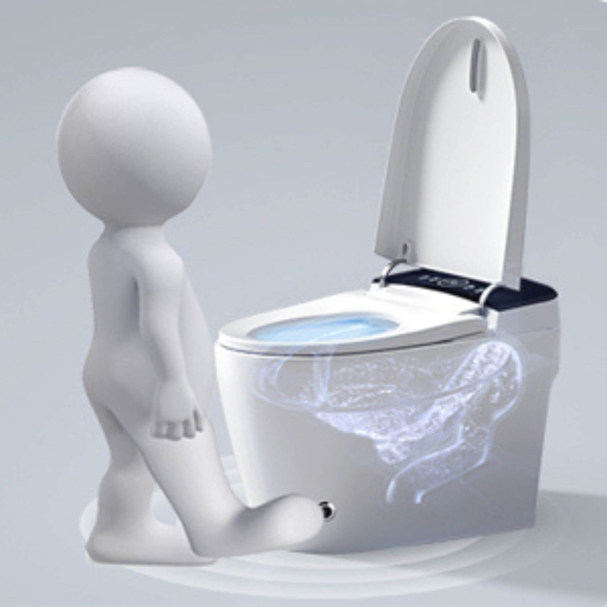Smart Auto Dual Flush Tankless Toilet With Heated Bidet, Auto Open And Close (SAK37415)