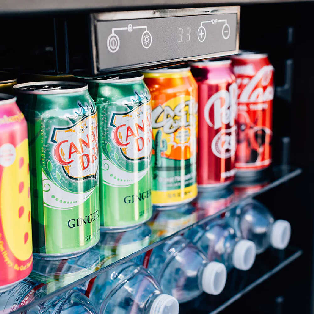 Summerset 24" Outdoor Rated Refrigerator With Anti Vibration System [RFR-24S-A] (SAK63715)